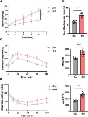 Bioinformatics study of the potential therapeutic effects of ginsenoside Rh3 in reversing insulin resistance